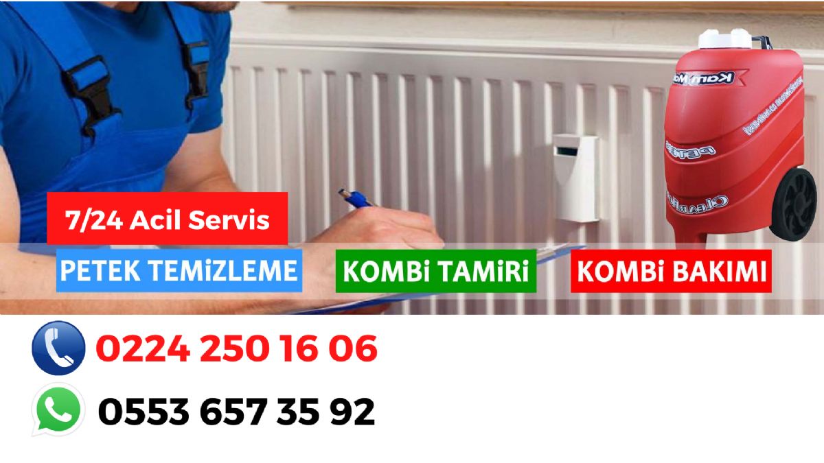 Bursa Geneli Petek Temizleme