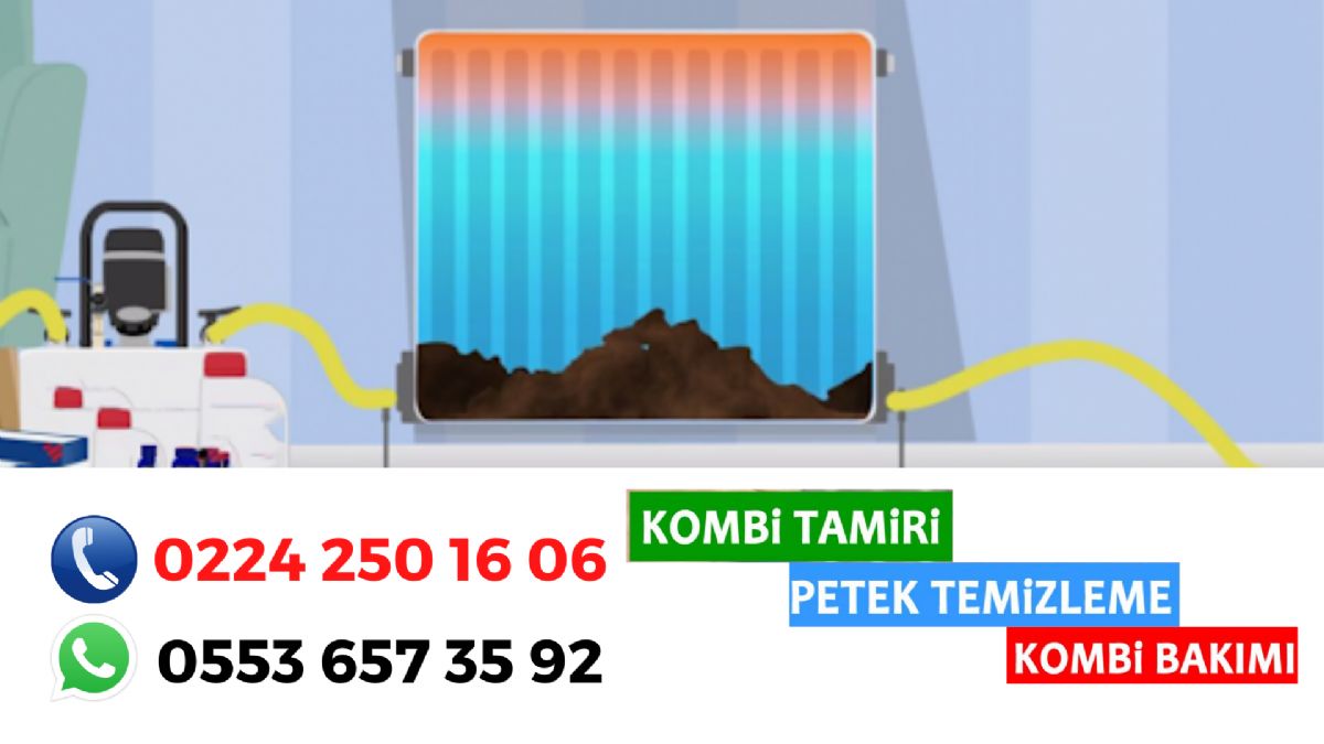 Bursa Petek Temizleme Firmaları