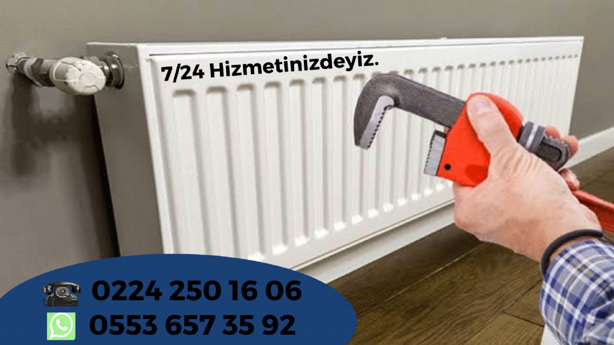 Bursa Petek Temizleme Fiyatları 2021