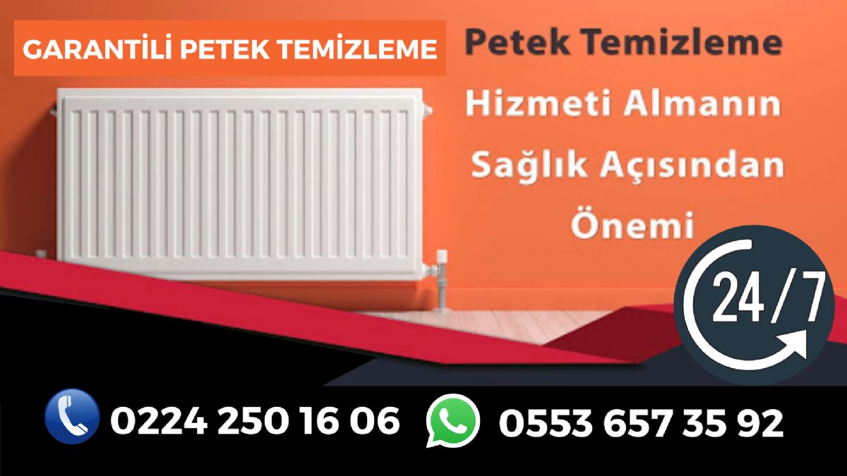 Bursa Petek Temizleme Servisi