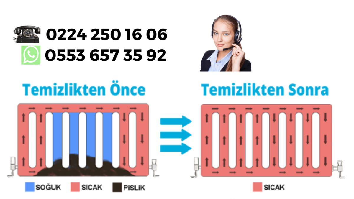 Bursa Yıldırım Petek Temizleme
