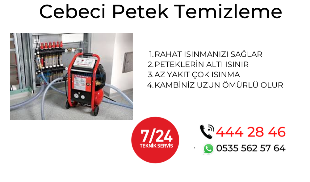 Cebeci Petek Temizleme