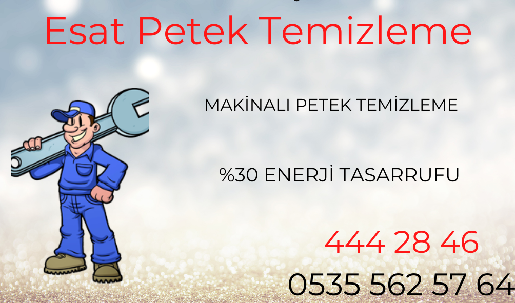 Esat Petek Temizleme