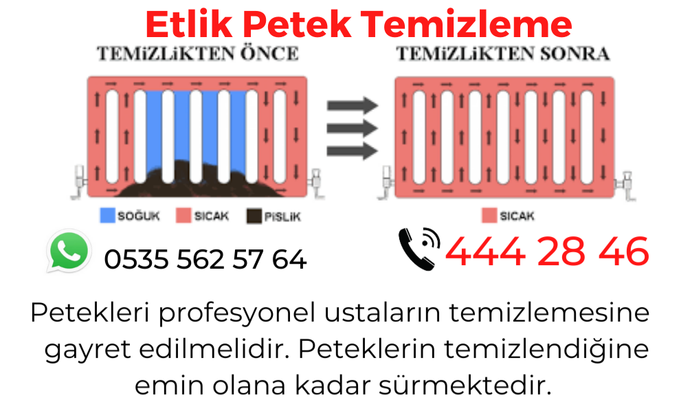 Etlik Petek Temizleme 